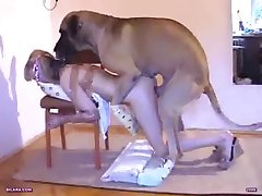 gigant dog fucked girl